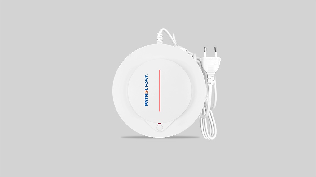 Wireless Gas Detector